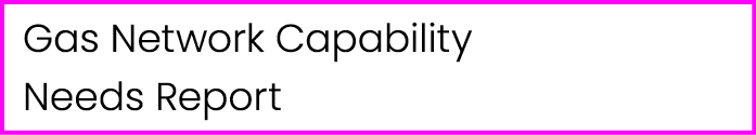 Gas Network Capability Needs Report