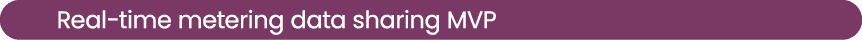 Real time metering data sharing MVP