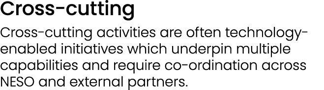 Cross cutting Cross‑cutting activities are often technology enabled initiatives which underpin multiple capabilities ...