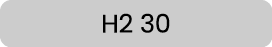 H2 30